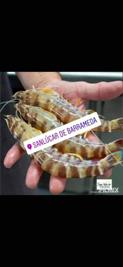Apartamento Piso en el centro de Sanlúcar de Barrameda Exterior foto